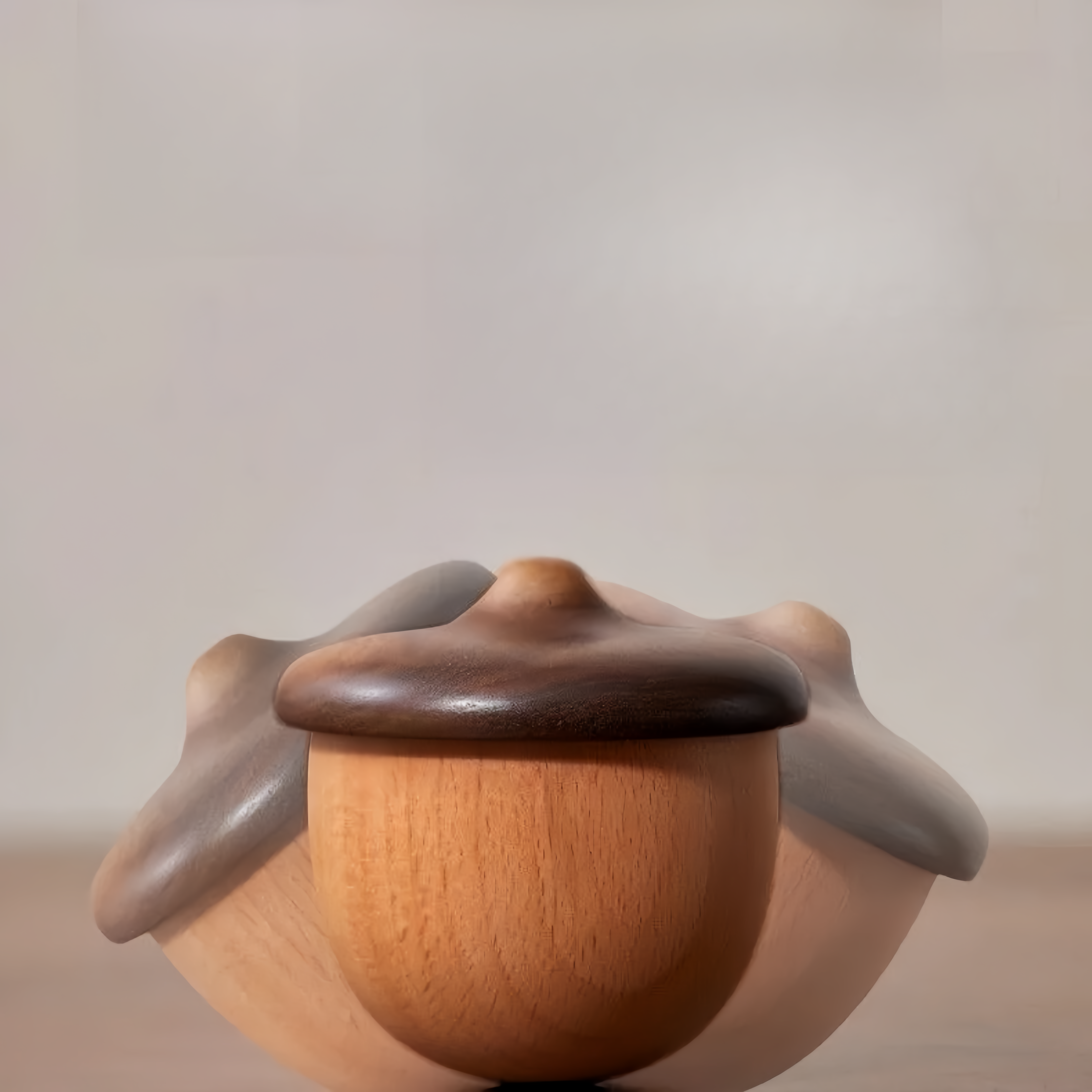 Tumbler Acorn Music Box (Melody Spirited Away)